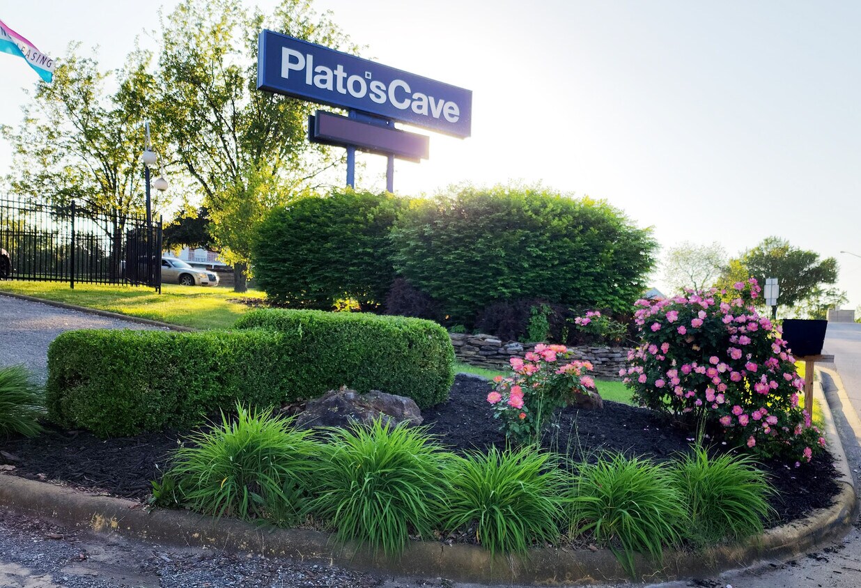 Plato's Cave
