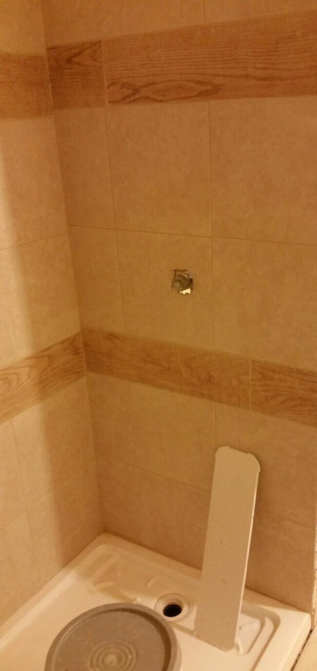 Shower - 3533 Butler St