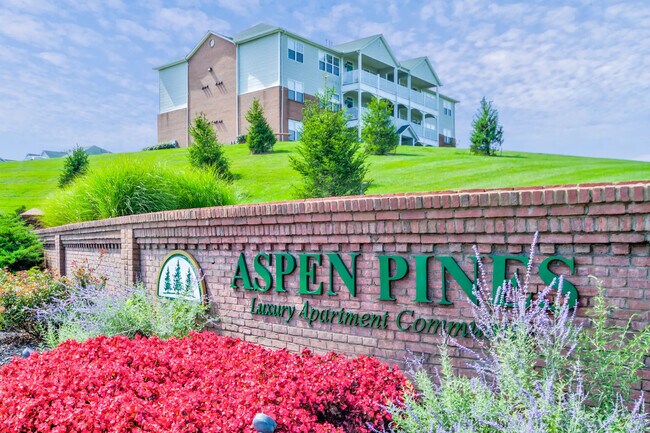 Foto del edificio - Aspen Pines Apartment Homes