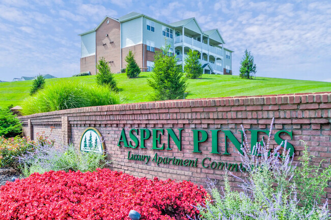 Building Photo - Aspen Pines