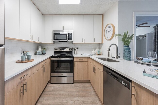Building Photo - The Pointe at Carrollwood