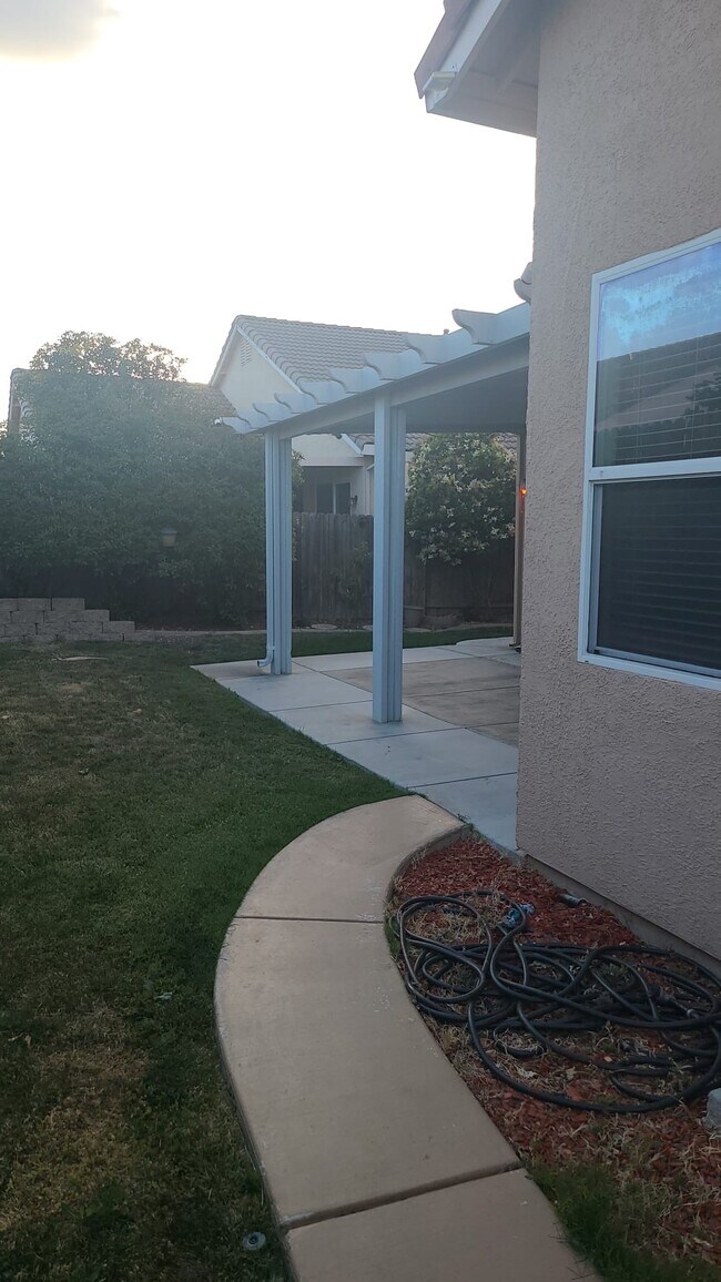 Backyard - 770 Alcantar Cir
