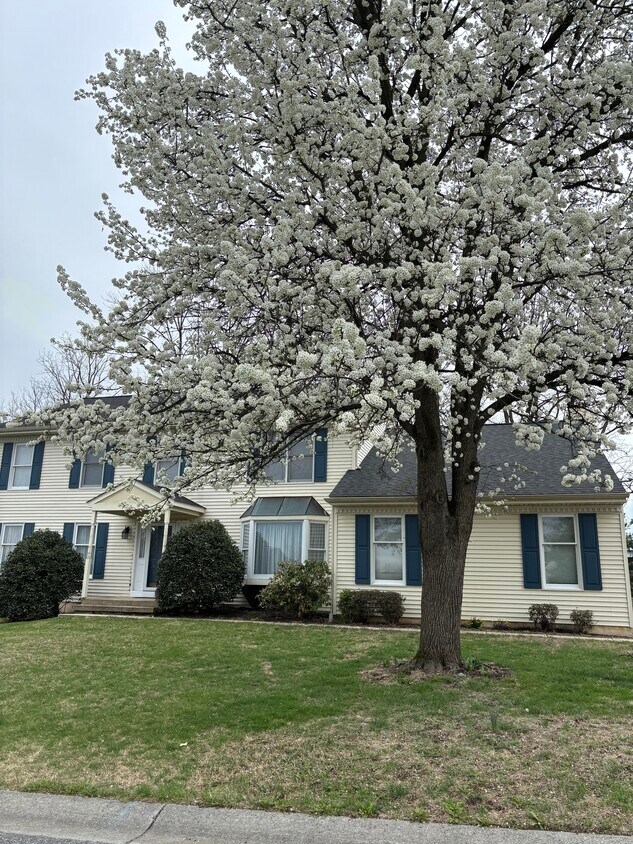Primary Photo - 38 Silverwood Blvd