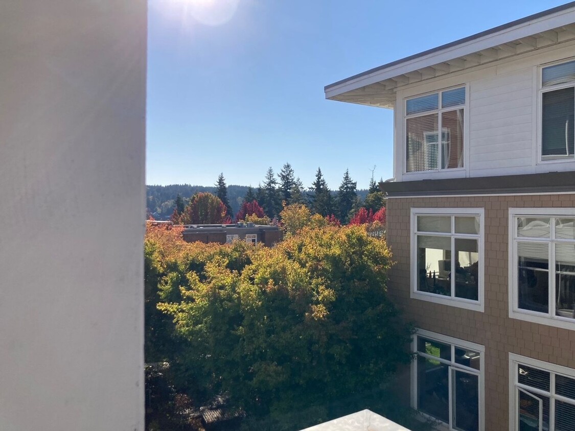 Primary Photo - Harbor Square Condominium