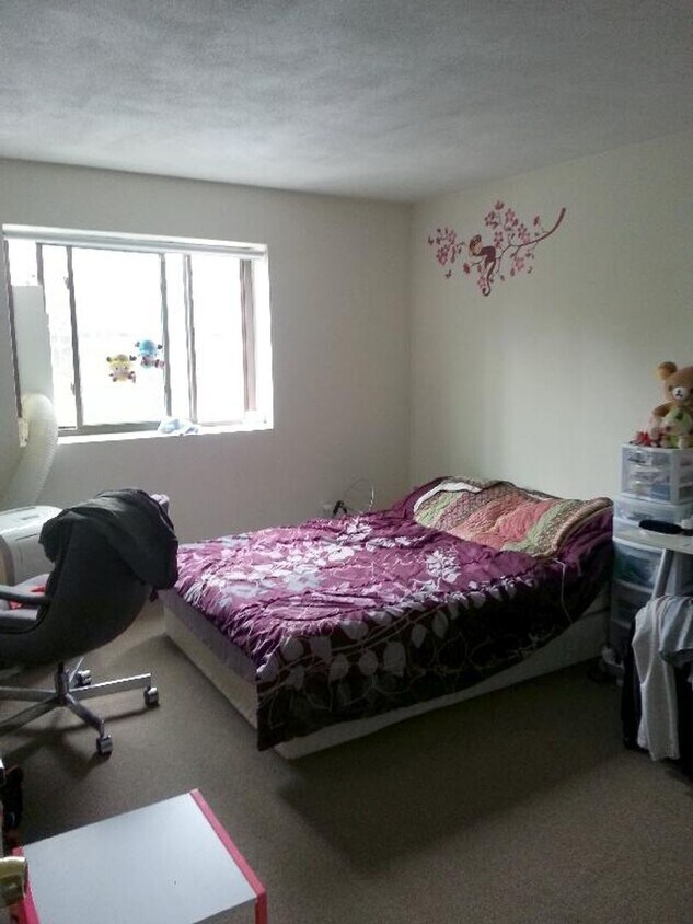 9/1 ALLSTON 2 BED *NO FEE* - 9/1 ALLSTON 2 BED *NO FEE*