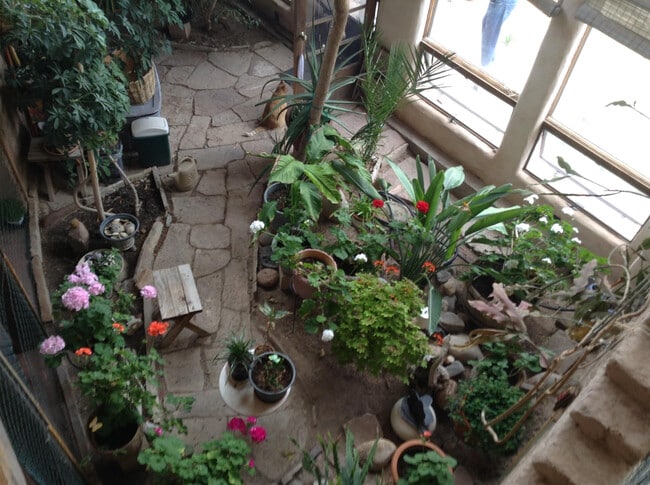 Atrium - 26 Banana Ln