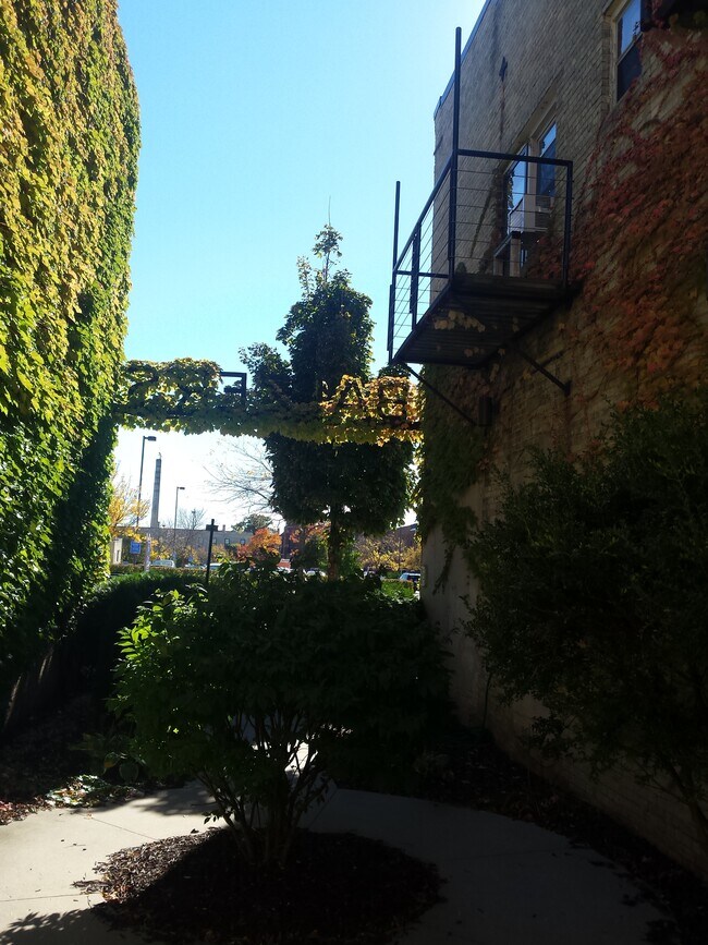 Patio de Balzer - Balzer Apartments