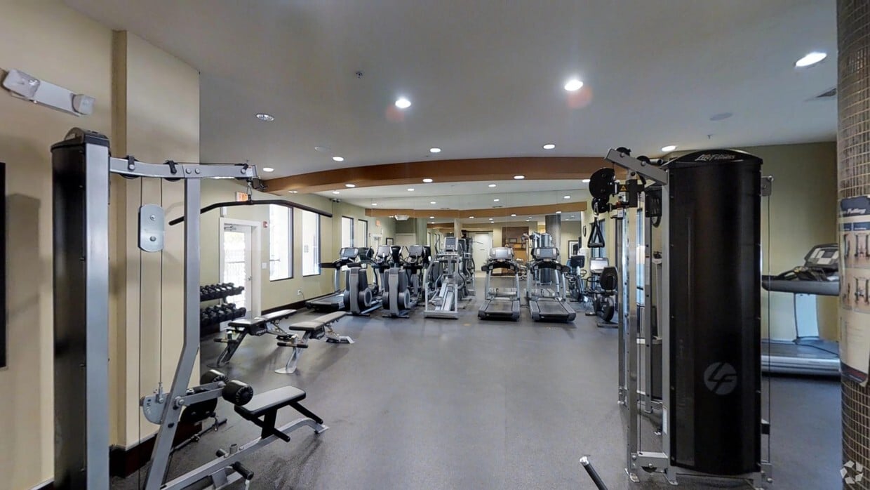 Photo - The Circle at Hermann Park Apartments