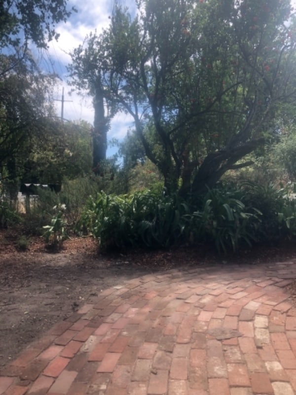 Foto del edificio - 4481 Petaluma Blvd N