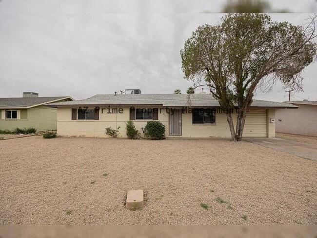 Building Photo - 427 E Malibu Dr