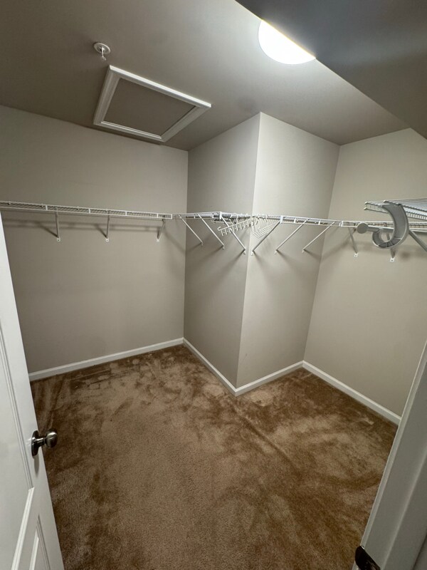 Foto del edificio - 9102 Vlg Spgs Dr