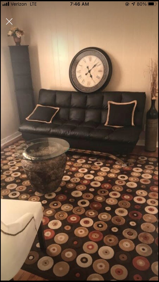 Living Room - 800 Shelby Ave