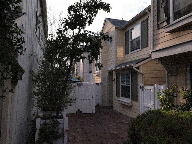 Placement in back side of complex, private - 1800 S Pacific Coast Hwy