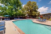 This outdoor amenity area centers around a generously sized swimming pool with clear turquoise water, designed with a distinctive geometric shape that includes a wading ledge. The surrounding concrete sun deck provides ample space for relaxation, furnished with multiple blue lounge chairs and a shaded patio table with an umbrella, offering residents a range of sunbathing and social options.

The pool area is fully enclosed by a black wrought iron security fence, with a gated entrance that displays posted pool rules for resident safety. A neatly maintained poolside facility building with grey siding, white columns, and a bold blue door sits adjacent to the deck, providing convenient access to restrooms or storage. Safety equipment, including a life ring, is visibly stationed near the water.

Beyond the pool fence, a colorful children's playground is positioned nearby, extending the recreational offerings of the space for younger residents. Mature trees line the perimeter, providing natural shade, privacy, and a lush green backdrop that enhances the overall ambiance. The well-landscaped surroundings, including ornamental shrubs and seasonal plantings, contribute to an inviting, resort-style atmosphere ideal for outdoor leisure and community gathering.