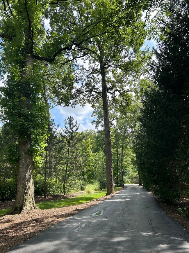 Driveway - 3120 Deerfield Rd