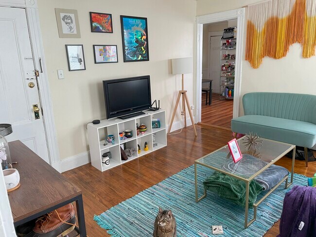 Living Room - 257 Highland Ave