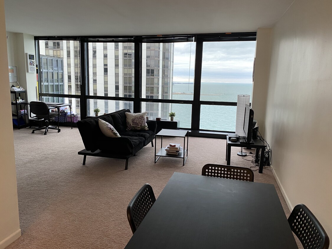 Foto principal - 900 N Lake Shore Dr