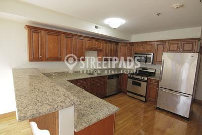 Primary Photo - 4 bedroom in Boston MA 02134