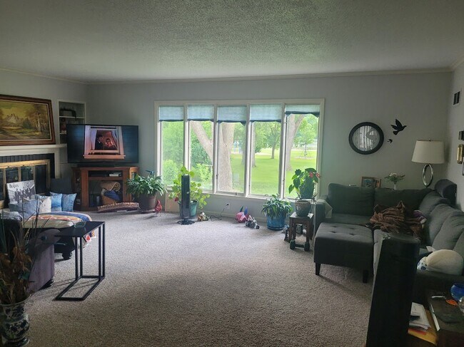 living room - 909 Sherman St