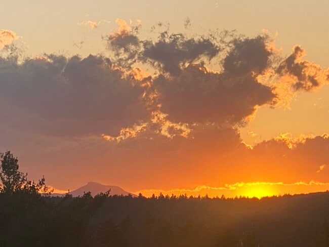 Sunset in Back Yard - 80 College St