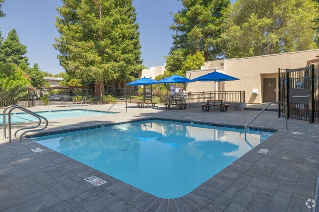 Sun Pool - Linden Lane Apartments