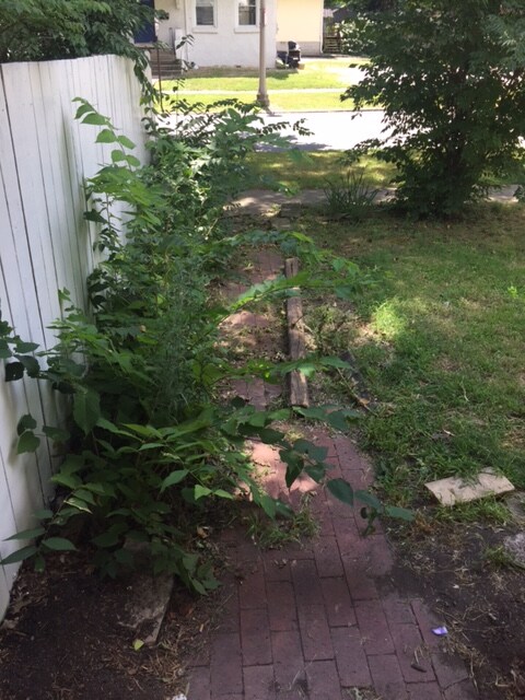 Foto del edificio - 802 W Iowa St