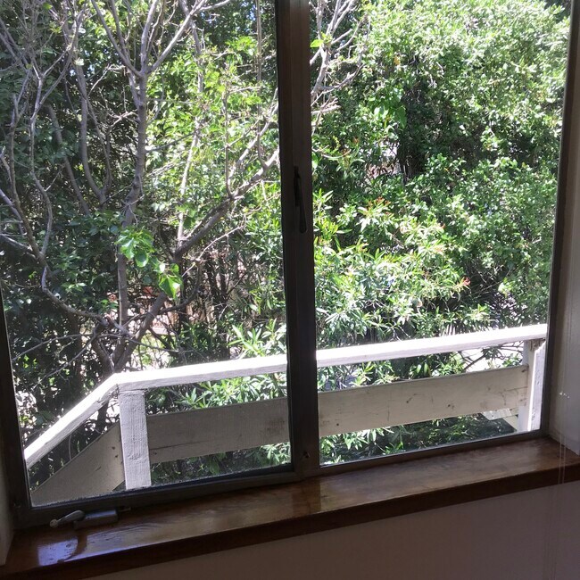View from kitchen window - 1501 Carmel Dr