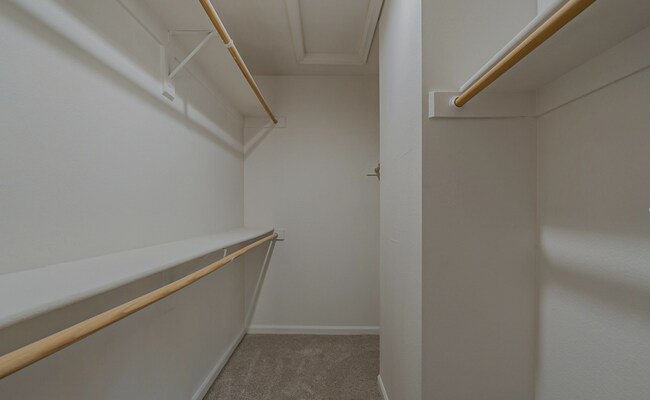Large walk in closet - 200 E SOUTHERN Ave