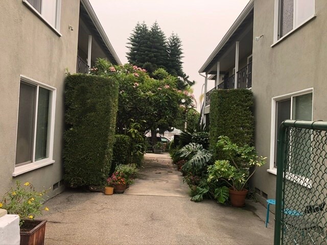 Shared courtyard with a huge Plumaria tree that makes it smell like Hawaii. - 11819 W Washington Blvd
