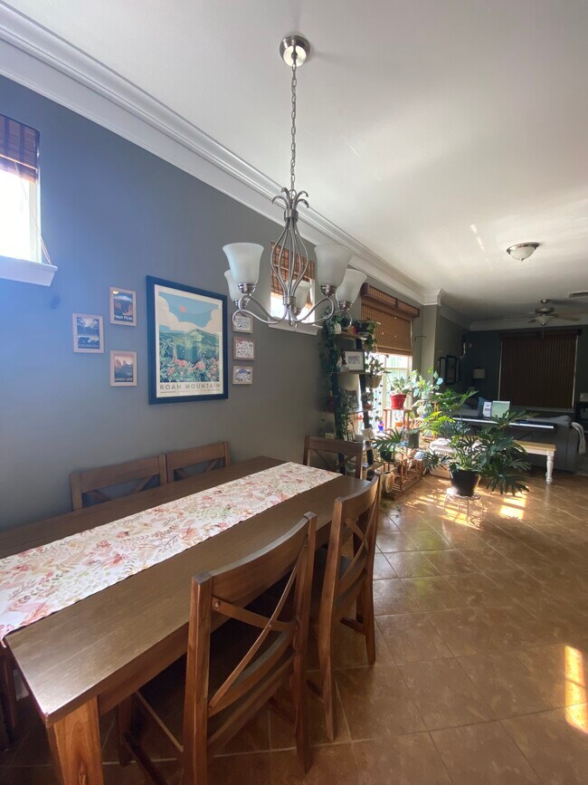 Dining/Living - 517 Saint Jules Ln