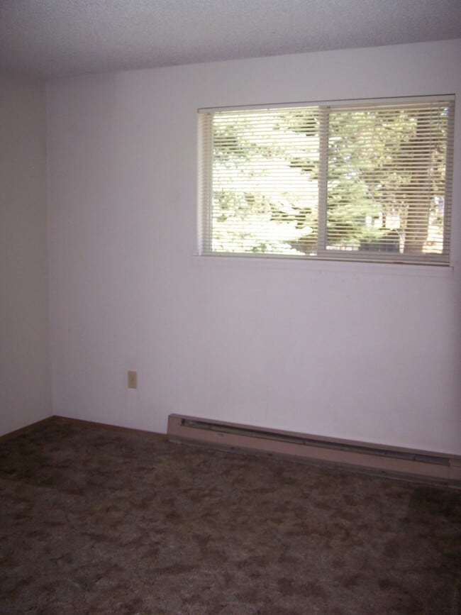 Building Photo - c511