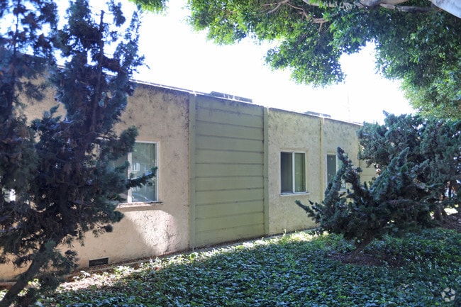 Building Photo - 1002 Marine St