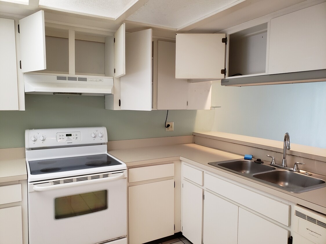 Photo - 5014 Gainsville Dr (Temple Terrace, FL)