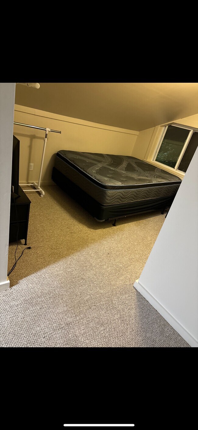 Dormitorio - 265 Sycamore St