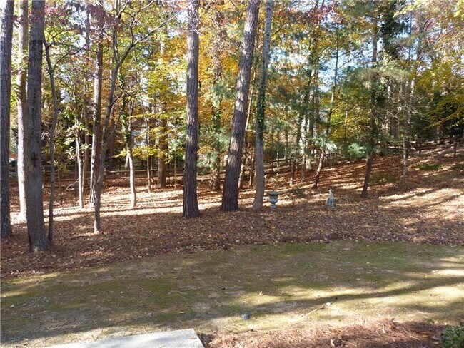 Building Photo - 10610 Cauley Creek Dr