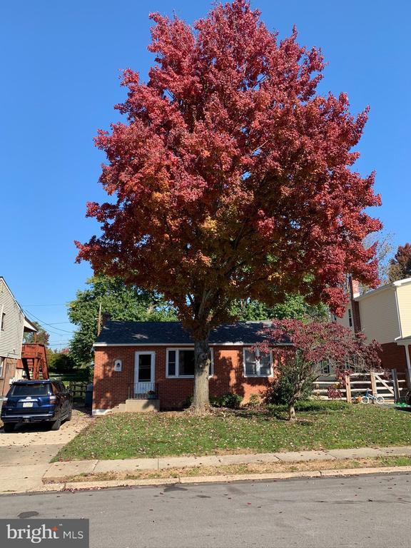 29 Brookside Rd, Glenside, PA 19038 House Rental in Glenside, PA