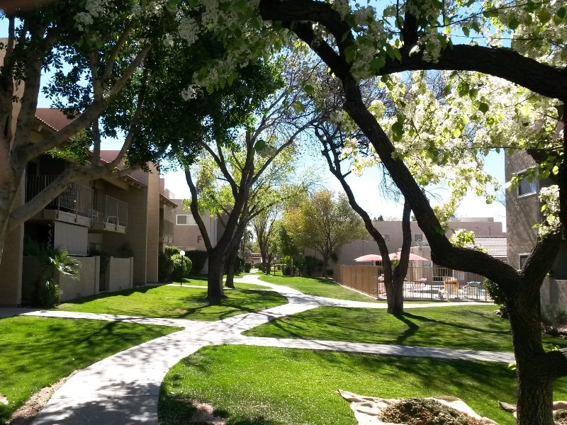 5525 E Thomas Rd, Phoenix, AZ 85018 Condo for Rent in Phoenix, AZ