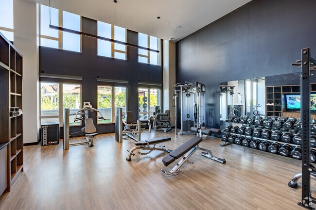 Fitness Center with Professional-grade Equipment - The Avant