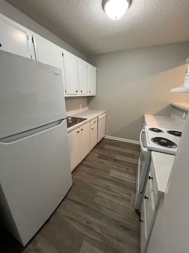 Foto del edificio - Newly Renovated 1B/1B Apartment in Lake Ch...