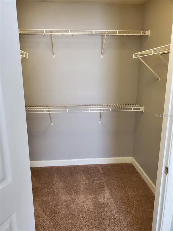 Foto del edificio - 18113 Back Stretch Ln