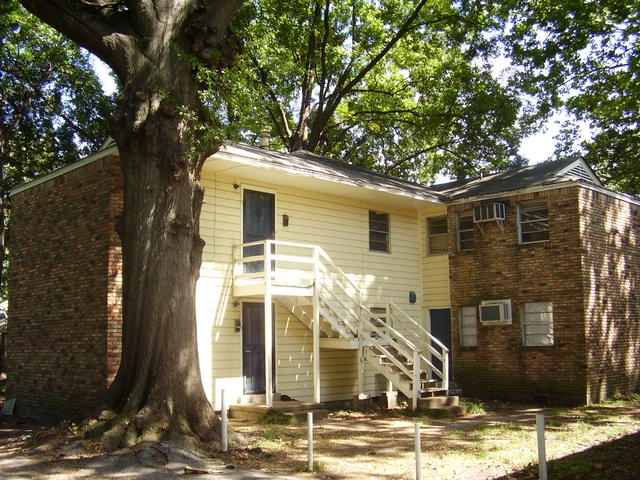 Cooper Young Apartments - Memphis, TN | Apartments.com