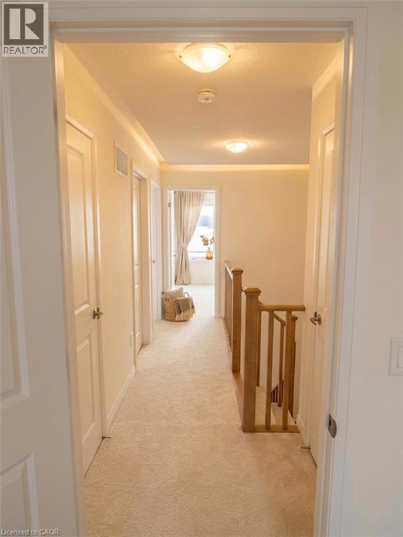 Building Photo - 113 Manuel St