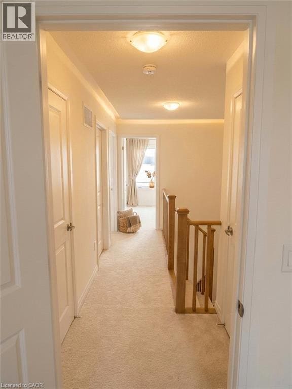 Photo du bâtiment - 113 Manuel St