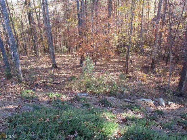 Foto del edificio - 336 Riverwalk Manor Dr