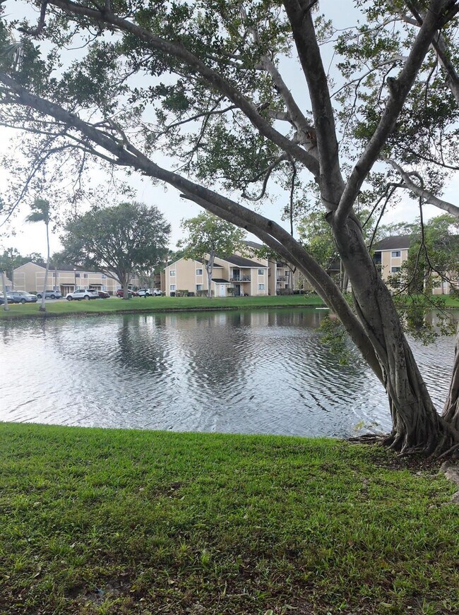 Foto del edificio - 320 Palm Cir E