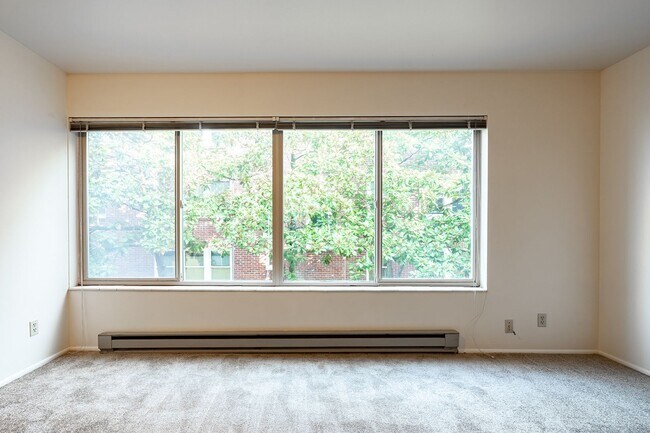 Interior Photo - Kelo
