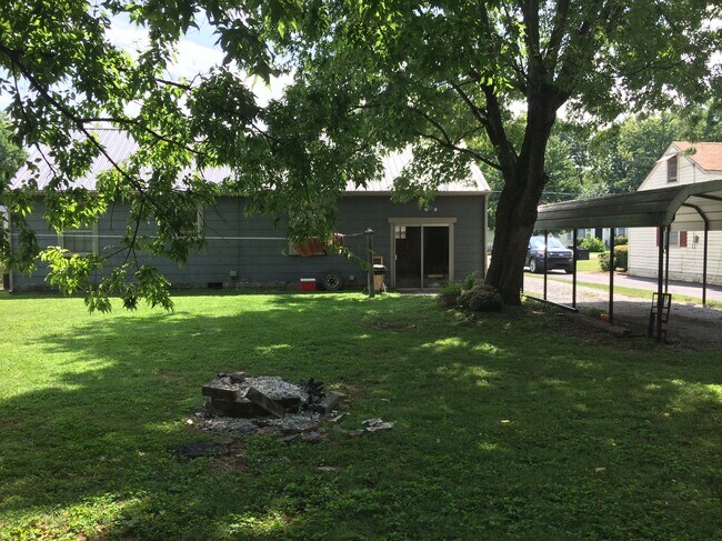 Backyard toward house - 1011 Harrison Ave