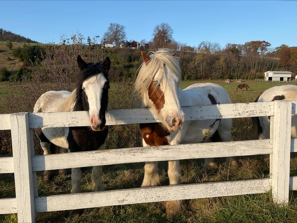 Foto del edificio - 330 Briar Manor