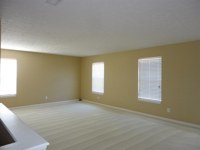 Foto del edificio - 1376 Blue Ridge Ln