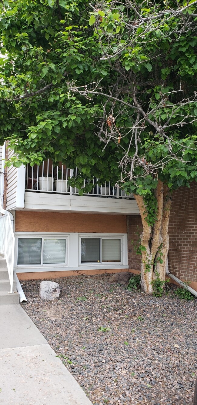 Building Photo - 451 Golden Cir